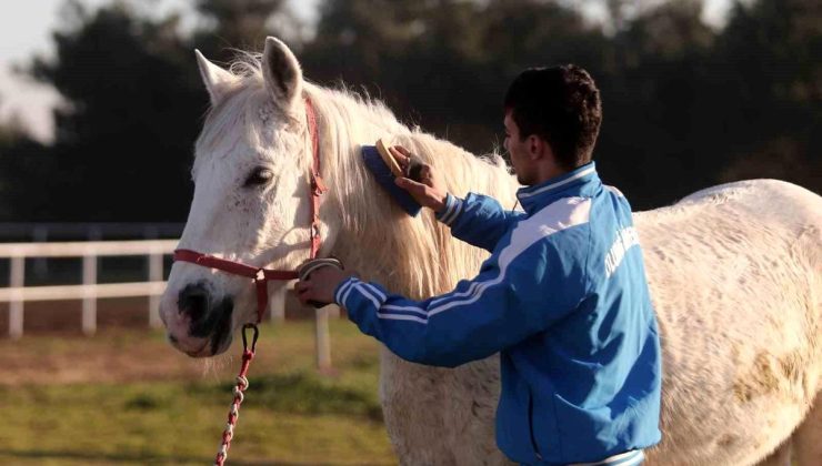 Bursa’da At Üzerinde Akrobasi Yapan Genç Sporcu