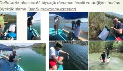 Dalyan’da Sazlık Kaybı ve Çevre Tehdit Altında