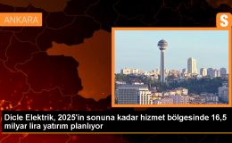 Dicle Elektrik, 2024 ve 2025’te 16,5 milyar liralık yatırım yapacak