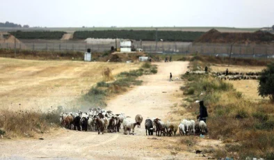 Hamas’ın 7 Ekim saldırısı hazırlıklarını aylar önce fark eden ama dikkate alınmayan İsrailli genç kadın askerler