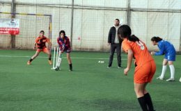 Mor Menekşeler Kız Futbol Takımı, Krikette de Başarılı