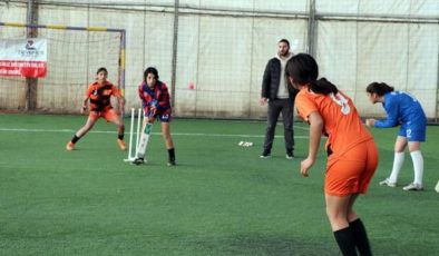 Mor Menekşeler Kız Futbol Takımı, Krikette de Başarılı