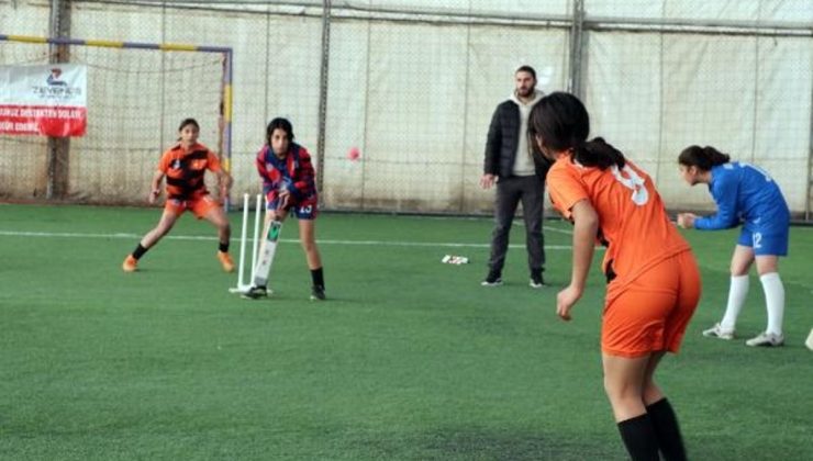 Mor Menekşeler Kız Futbol Takımı, Krikette de Başarılı