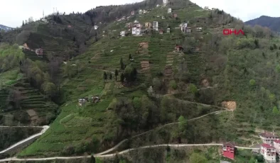 Doğu Karadeniz’de yapılaşma sorunu: Yamaçlardaki ev ve yollar heyelanları tetikliyor