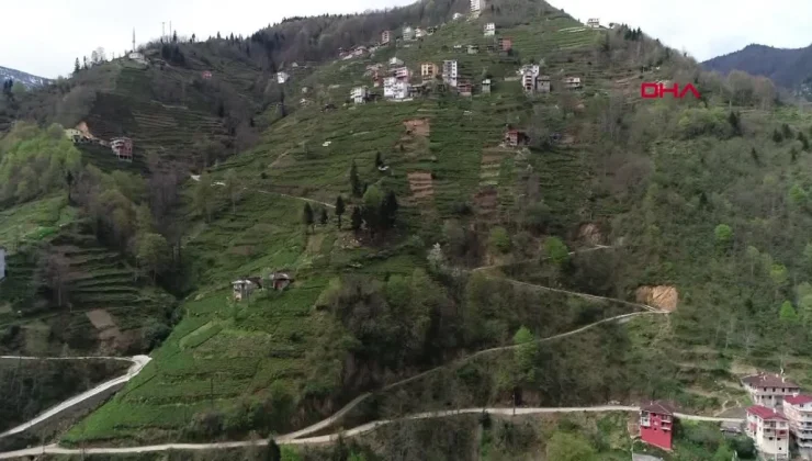 Doğu Karadeniz’de yapılaşma sorunu: Yamaçlardaki ev ve yollar heyelanları tetikliyor