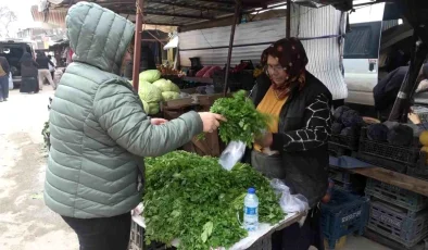 Hatay’da Kira Parası Çalınan Kadın Minibüste Yaşamını Sürdürdü