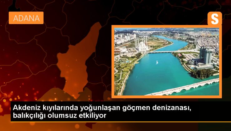 Mersin’de Göçmen Denizanaları Balıkçılığı Olumsuz Etkiliyor