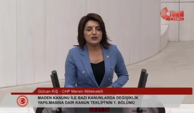 CHP Milletvekili Gülcan Kış: Türkiye enerjide kontrolü eline almadığı sürece dışa bağımlılığa mahkumdur