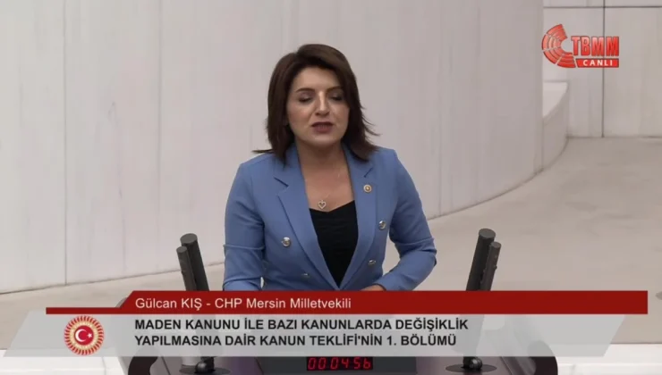 CHP Milletvekili Gülcan Kış: Türkiye enerjide kontrolü eline almadığı sürece dışa bağımlılığa mahkumdur