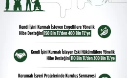 Engelli ve eski hükümlü vatandaşlara hibe desteği yükseltildi