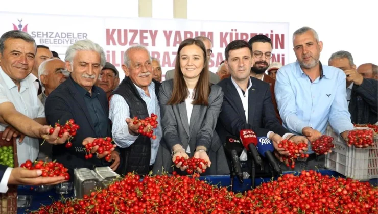 Manisa’da Kiraz Hasadı Başladı