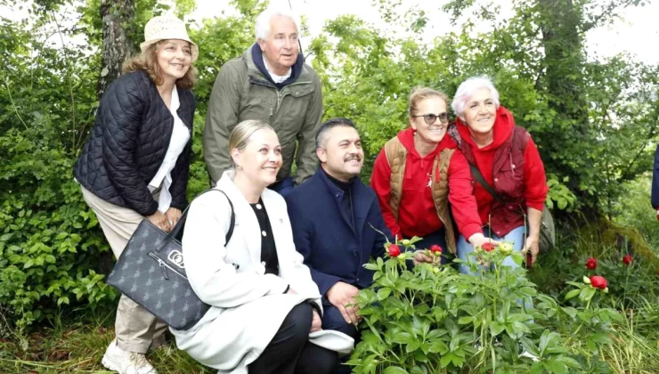 Şile Belediyesi 10. Şakayık Şenliği’ni düzenledi