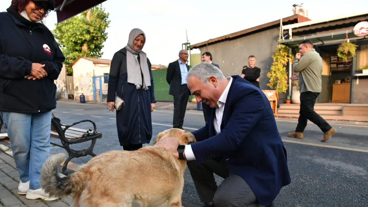 Ergün Turan: Bin 250 sokak köpeği ile ilçeler arasında en büyük barınağa sahibiz