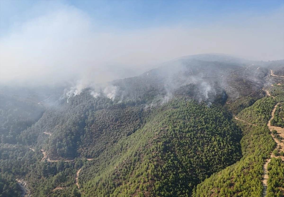 Manisa’da orman yangınlarına havadan ve karadan müdahale devam ediyor